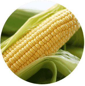 g-corn
