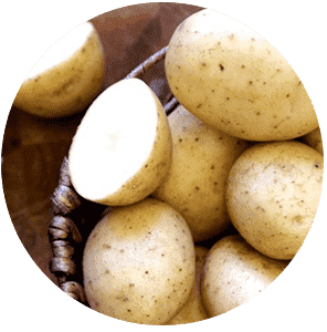 g-potato